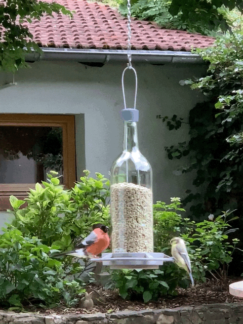 3in1 Vogel Futter Stelle ♻️ Nachhaltig🕊️ Handmade und Upcycling in  Deutschland 🕊️♻️ Witziges Geschenk #Designorientiert #Funktionell