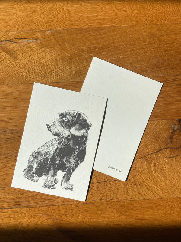 Dackel  -  Lieblings Haustier - Postkarte von Frohstoff