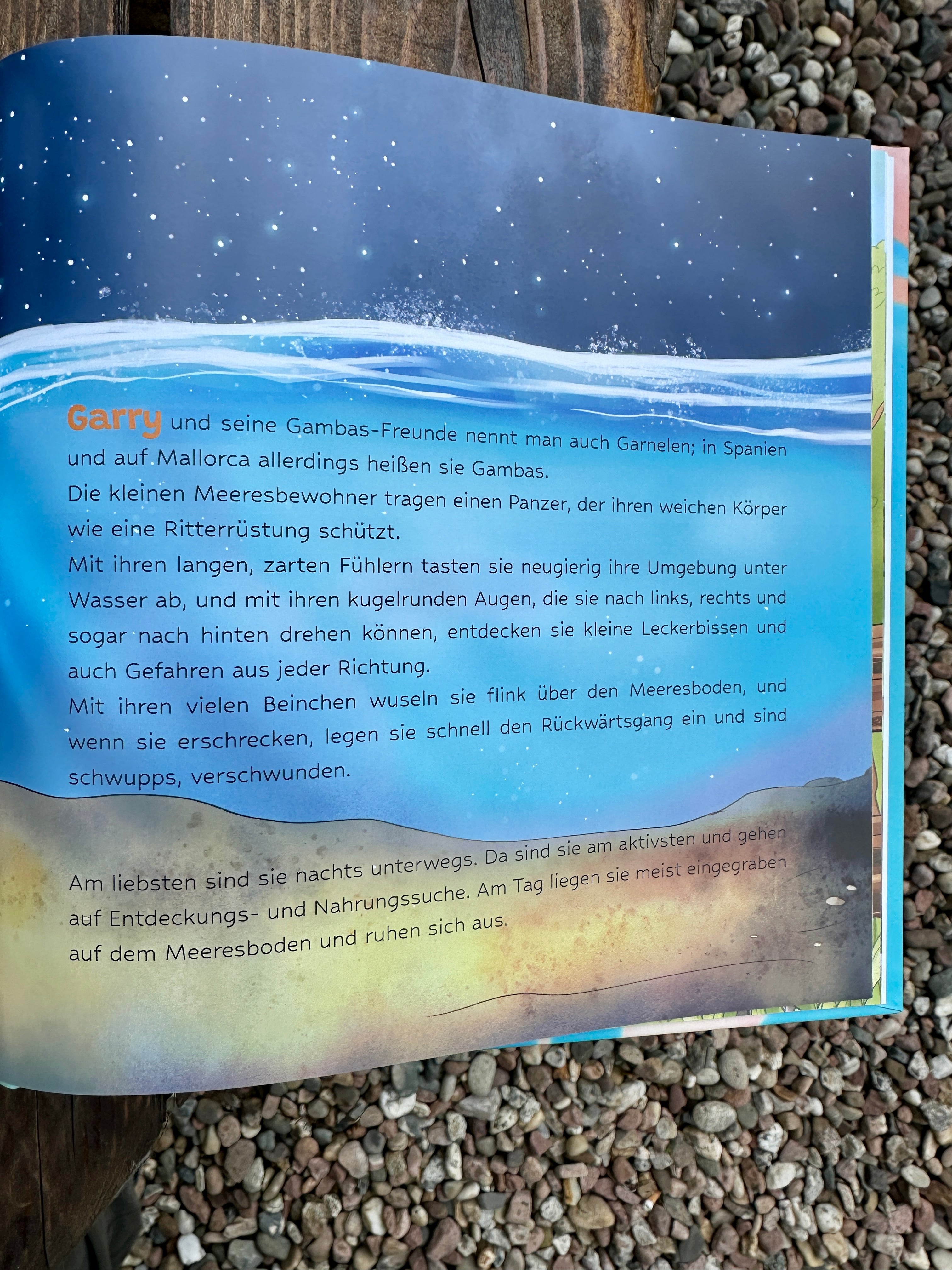 Komm, wir treffen meine Inselfreunde 🧡 Kinderbuch für Mallorca Fans 🇪🇸 von Kathrin Schneider