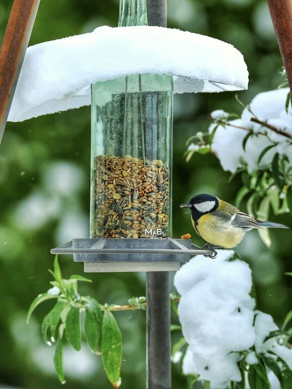 3in1 Vogel Futterstelle statt Vogelhaus + WINDLICHT in einem - MaBe®
