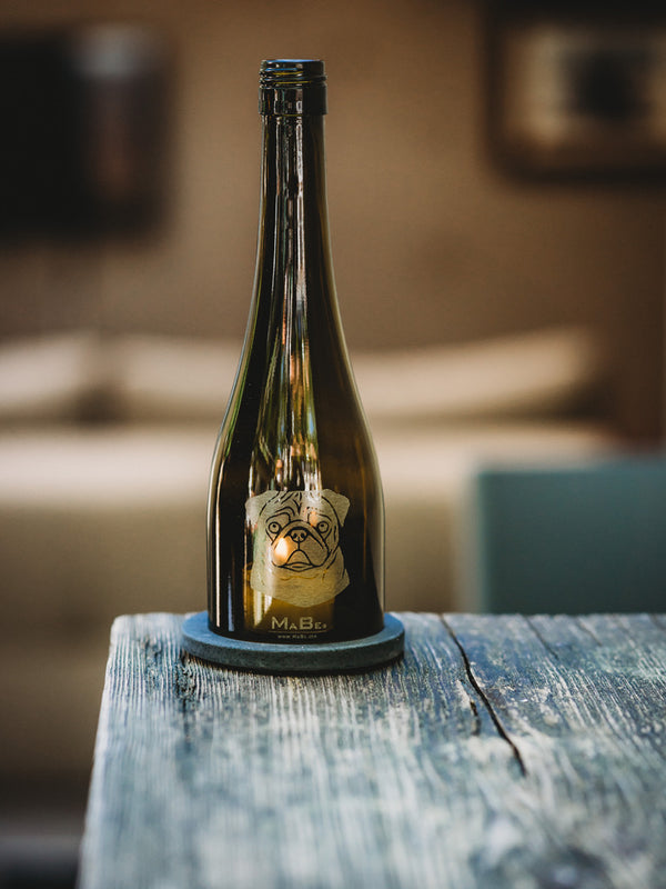 Der MOPS 🐶 klein, rund, und voller Liebe ❤️