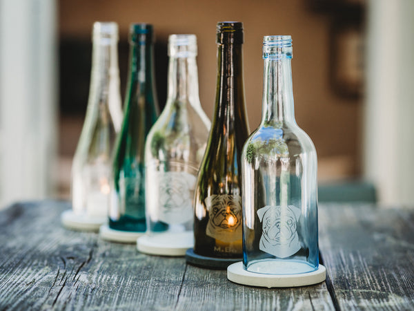 Der MOPS 🐶 klein, rund, und voller Liebe ❤️