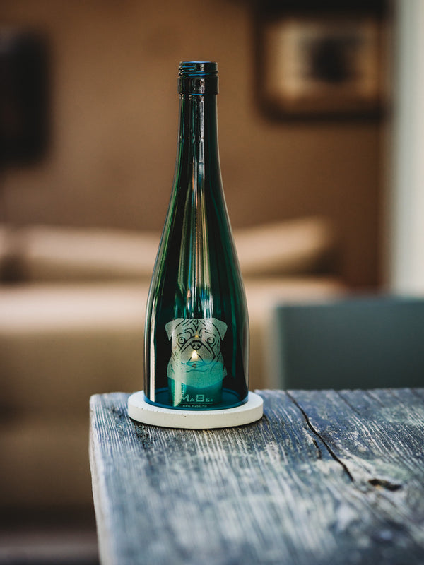 Der MOPS 🐶 klein, rund, und voller Liebe ❤️