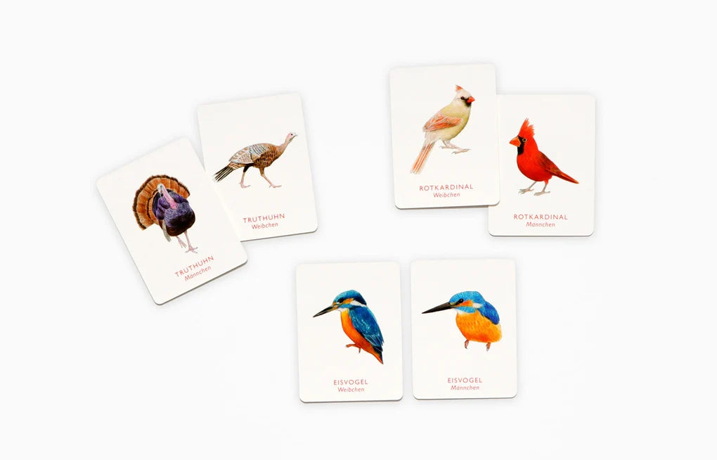 Vogel Paare 🐧🐧  Gedächtnis Spiel vom Laurence King Verlag