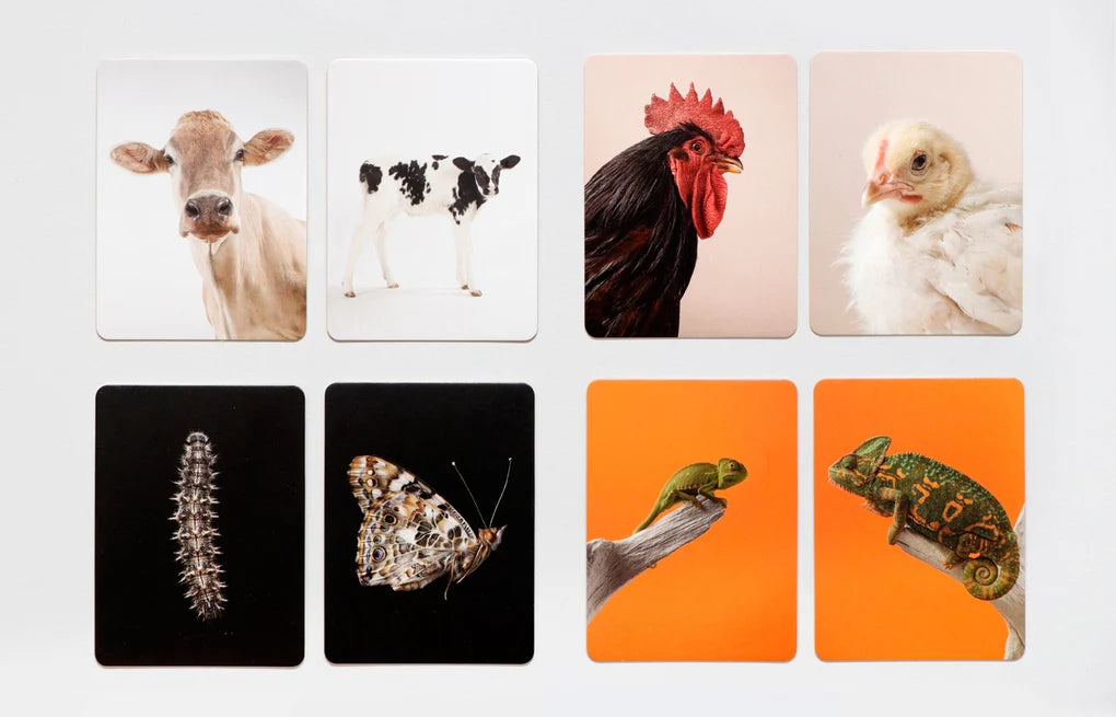 Klein & Groß Päärchen Spiel vom Laurence King Verlag