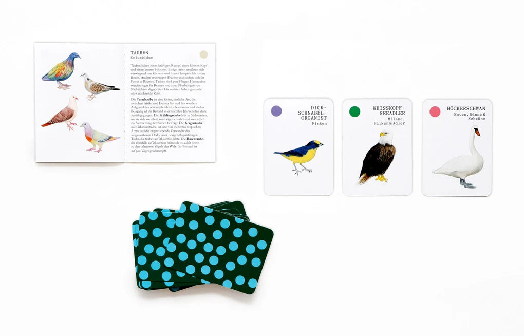 Vogel-Familien 🦅 Ein Quartett-Spiel 🦜vom Laurence King Verlag