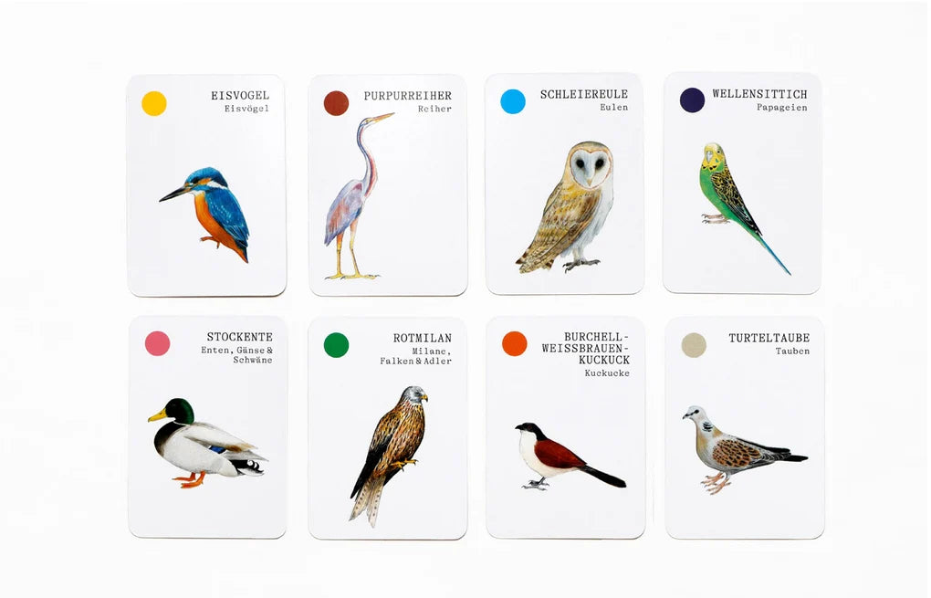 Vogel-Familien 🦅 Ein Quartett-Spiel 🦜vom Laurence King Verlag