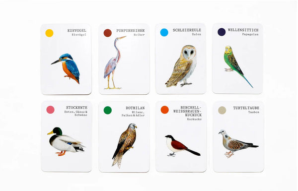 Vogel-Familien 🦅 Ein Quartett-Spiel 🦜vom Laurence King Verlag