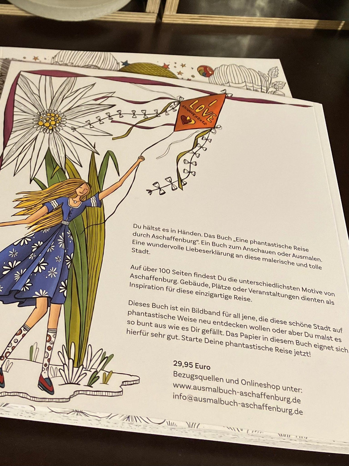 Aschaffenburger Ausmalbuch - Eine phantastische Reise von Michael Franz