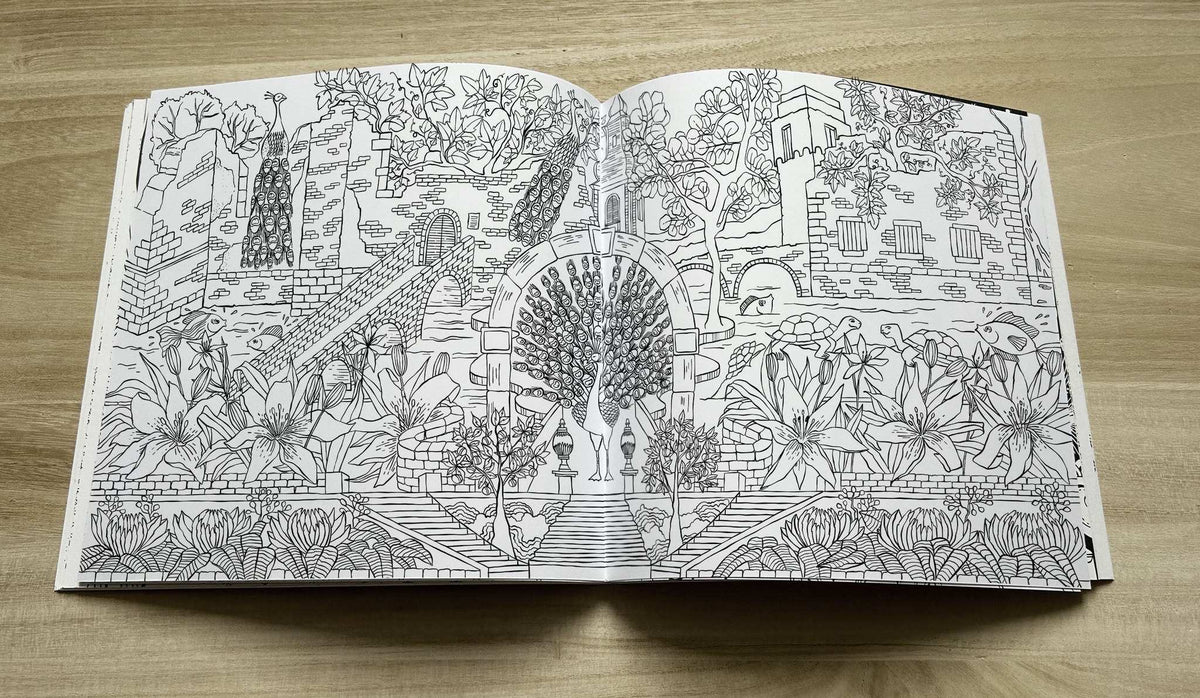 Aschaffenburger Ausmalbuch - Eine phantastische Reise von Michael Franz