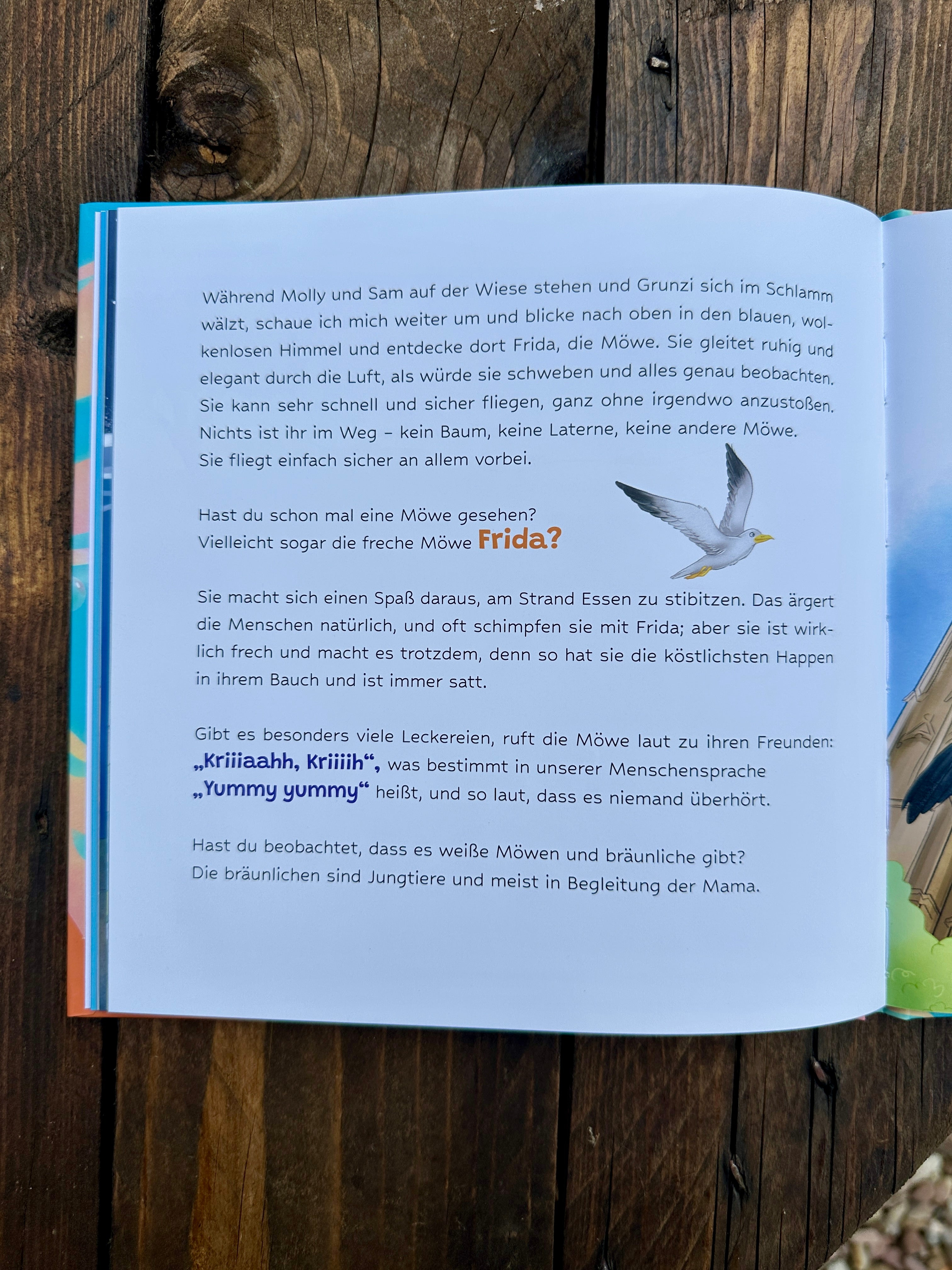 Komm, wir treffen meine Inselfreunde 🧡 Kinderbuch für Mallorca Fans 🇪🇸 von Kathrin Schneider