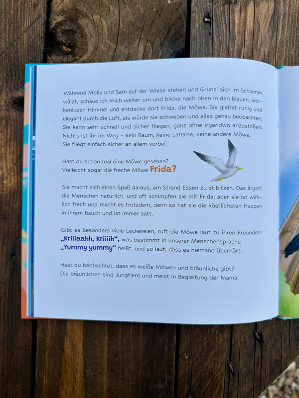 Komm, wir treffen meine Inselfreunde 🧡 Kinderbuch für Mallorca Fans 🇪🇸 von Kathrin Schneider