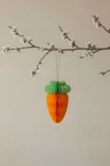 Oster Deko Mohrrübe 🥕witzige Karotte 🥕von Rike - München
