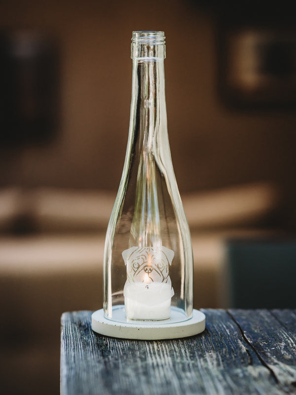 Der MOPS 🐶 klein, rund, und voller Liebe ❤️