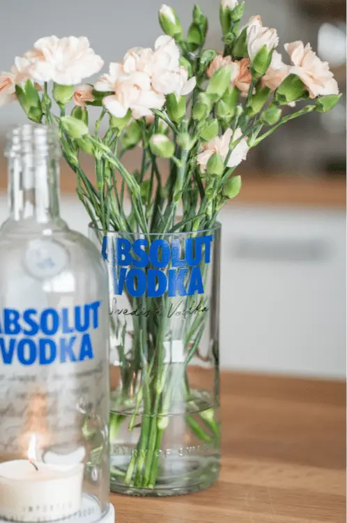 Coole Vase aus der Absolut Flasche - witzig & funktionell - MaBe®