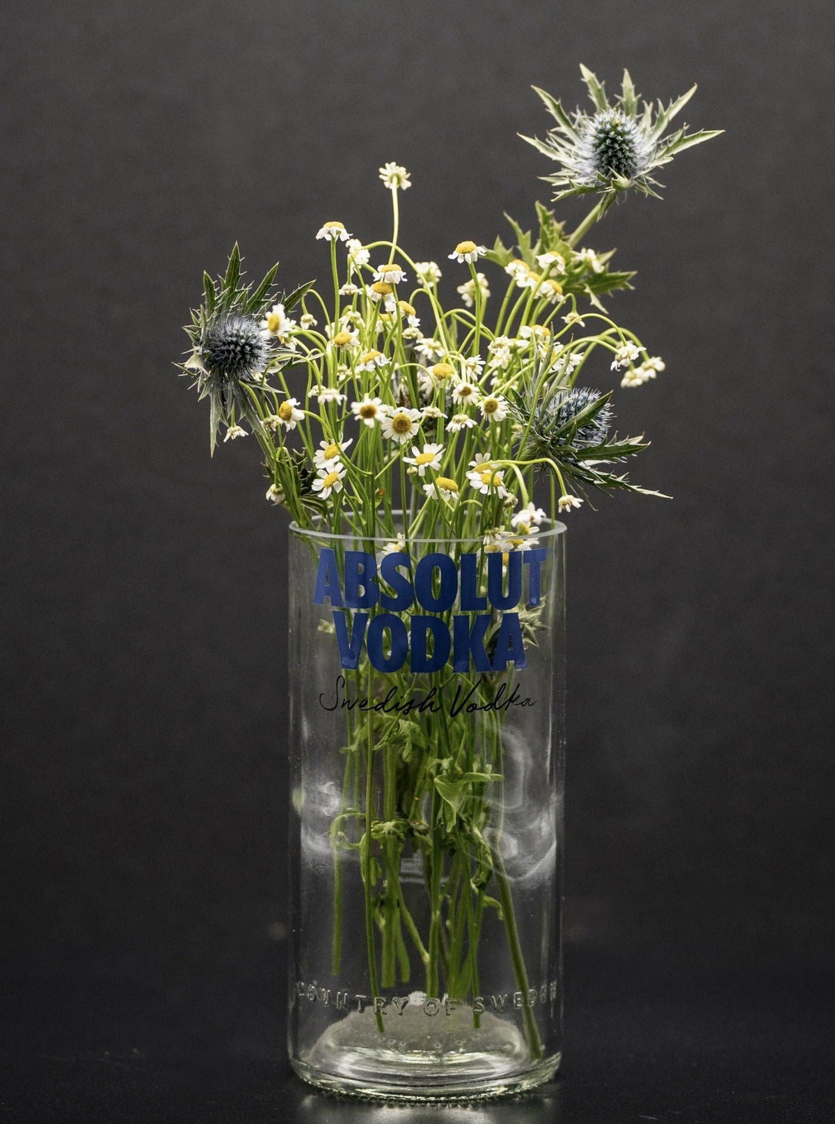 Coole Vase aus der Absolut Flasche - witzig & funktionell - MaBe®