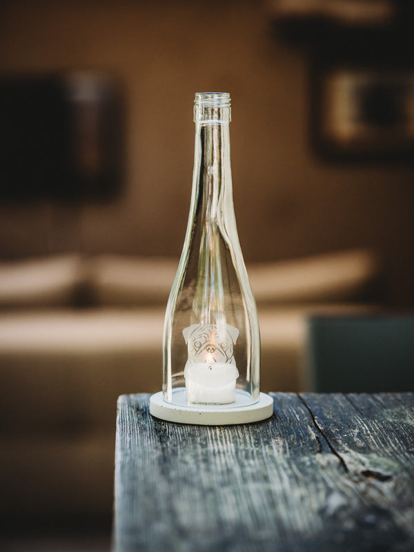 Der MOPS 🐶 klein, rund, und voller Liebe ❤️