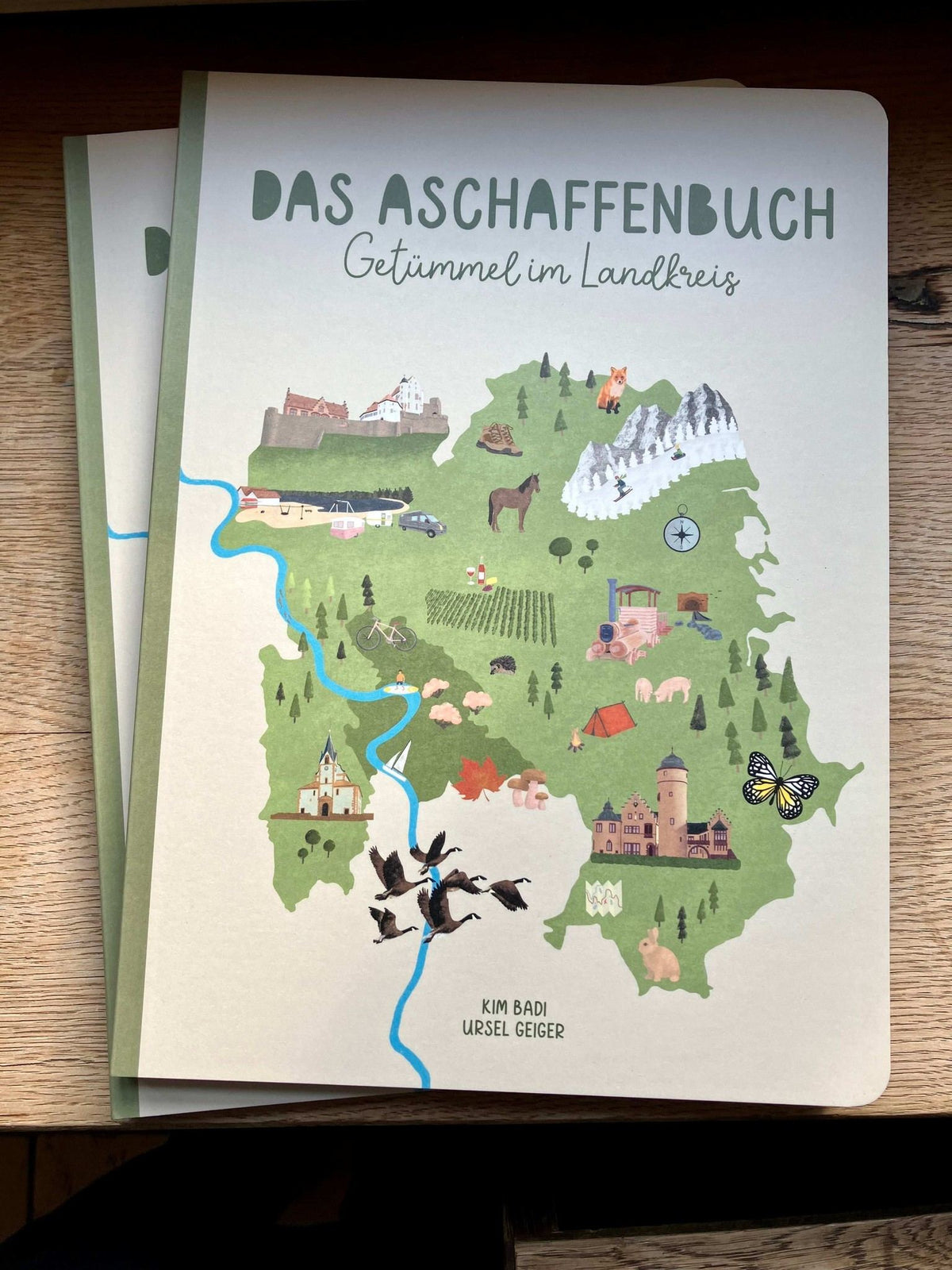 Das Aschaffenbuch ✨Getümmel im Landkreis ✨