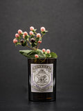 Das Geschenk für den Gin Liebhaber - Vase aus der Monkeys Flasche - MaBe®