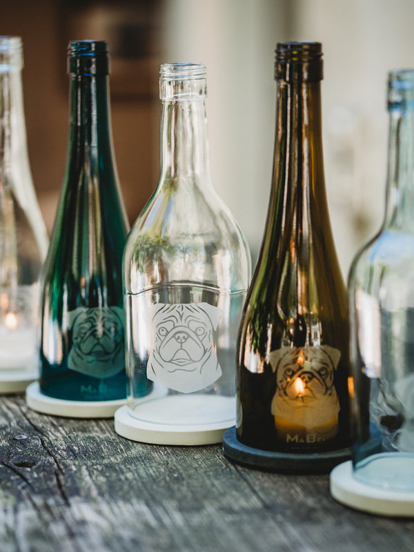 Der MOPS 🐶 klein, rund, und voller Liebe ❤️