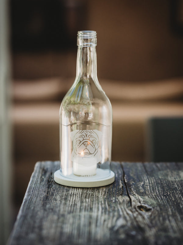 Der MOPS 🐶 klein, rund, und voller Liebe ❤️