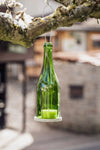 Sekt Hänge Windlicht - witzig - egal ob innen oder außen