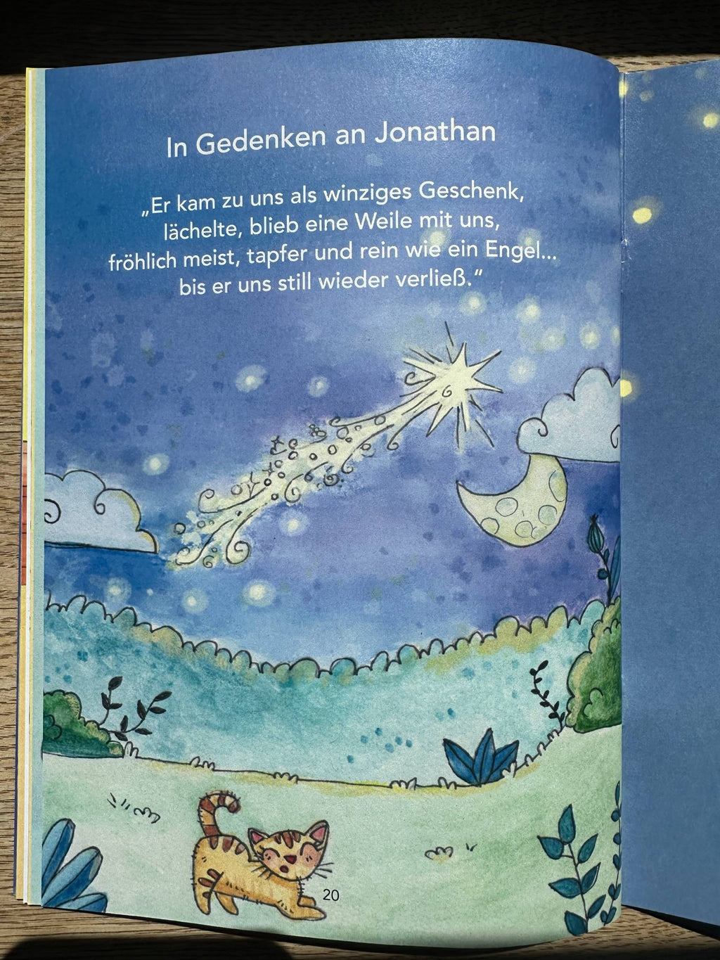 Jonathan 💫 die besondere Sternschnuppe 💫 wohin mit der großen Traurigkeit