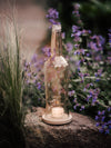 Windlicht - Aperol Upcycling - rank & schlank - macht nachhaltig Eindruck