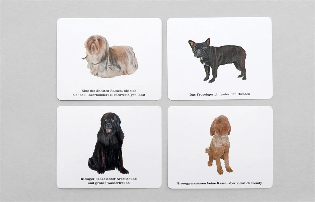 Quiz ⁉️ Wer kennt alle Hunde 🐶 vom Laurence King Verlag