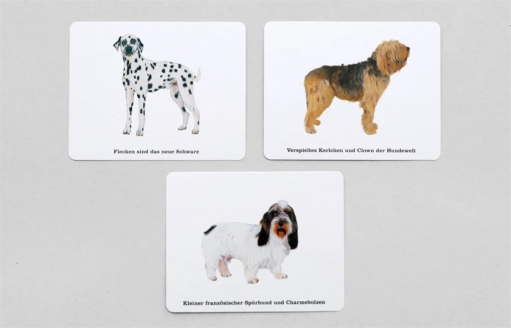 Quiz ⁉️ Wer kennt alle Hunde 🐶 vom Laurence King Verlag