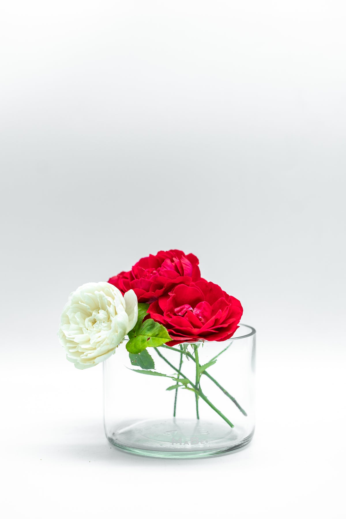 Vase oder Schale ♻️ echt nachhaltig und nützlich - UPCYCLING