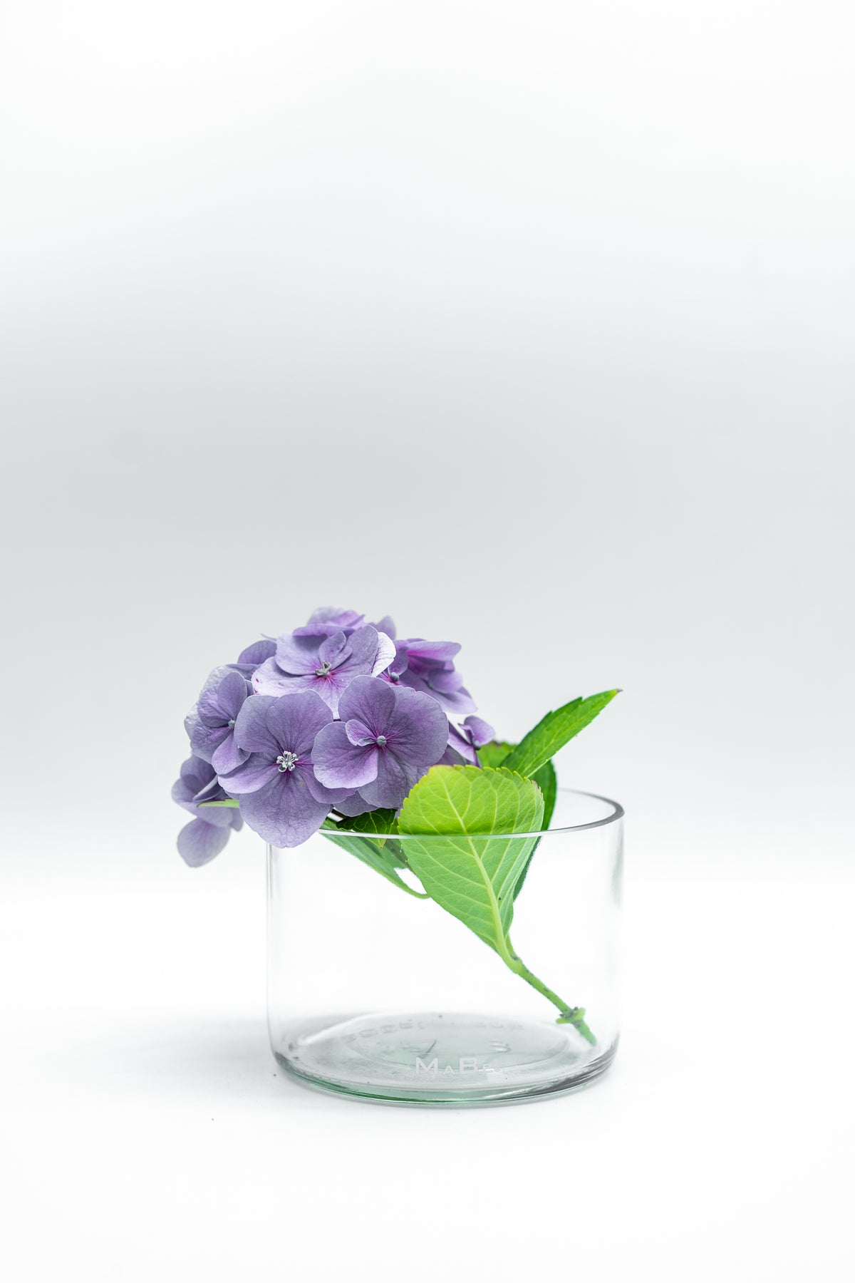 Vase oder Schale ♻️ echt nachhaltig und nützlich - UPCYCLING