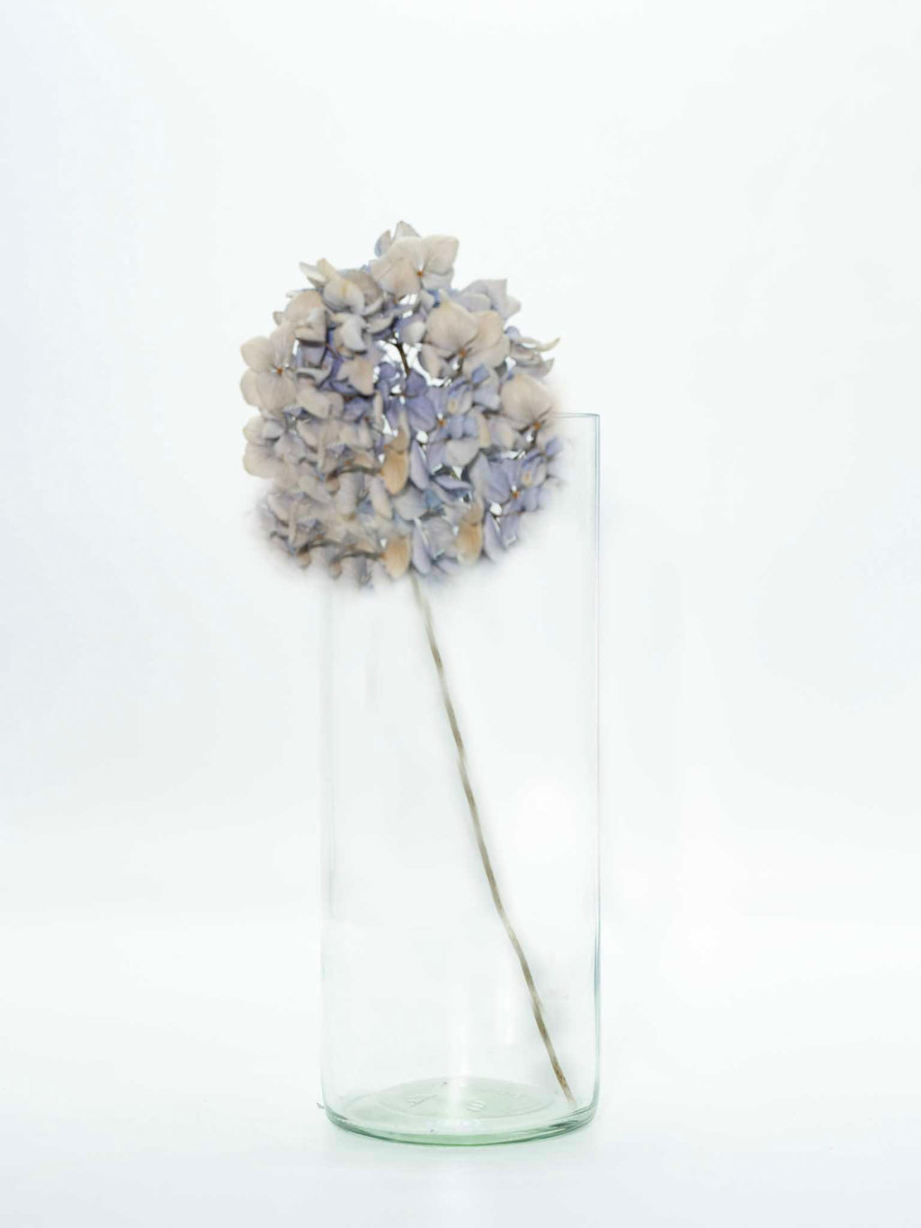 Vase oder Schale ♻️ echt nachhaltig und nützlich - UPCYCLING