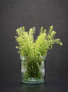 Vase aus der 1,5 l Wein Flasche transparent - MaBe®