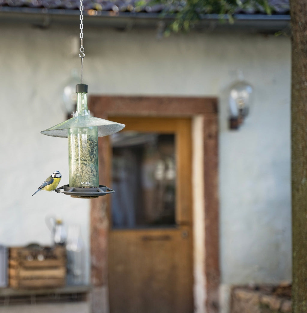 Vogel 🐦 Futterstelle - was für ein tolles & nachhaltiges Geschenk für sie und ihn
