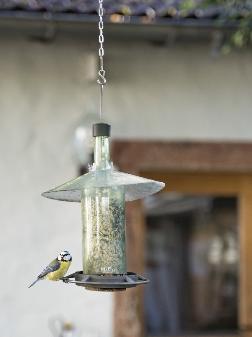 3in1 Vogel Futterstelle statt Vogelhaus + WINDLICHT in einem - MaBe®