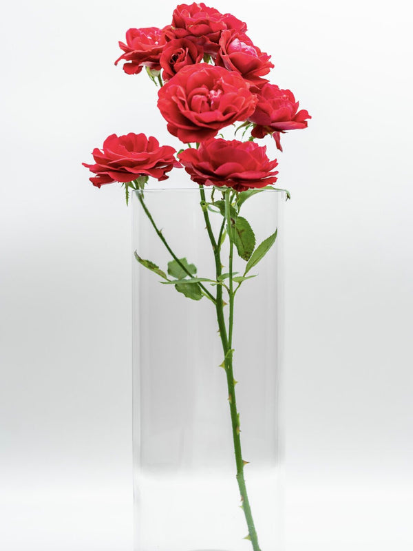 Vase aus der 3 l  (29cm hoch) Flasche transparent