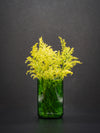 Vase aus der grünen Weinflasche - eco green product mit Herz